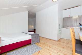 Отели типа «постель и завтрак» Villa Linne Ястшембя-Гура Апартаменты-студио (для 4 взрослых)-8