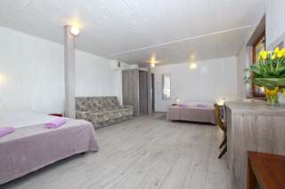 Отели типа «постель и завтрак» Villa Linne Ястшембя-Гура Апартаменты-студио (для 5 взрослых)-10